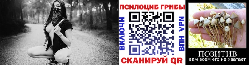 Галлюциногенные грибы прущие грибы  Томилино 